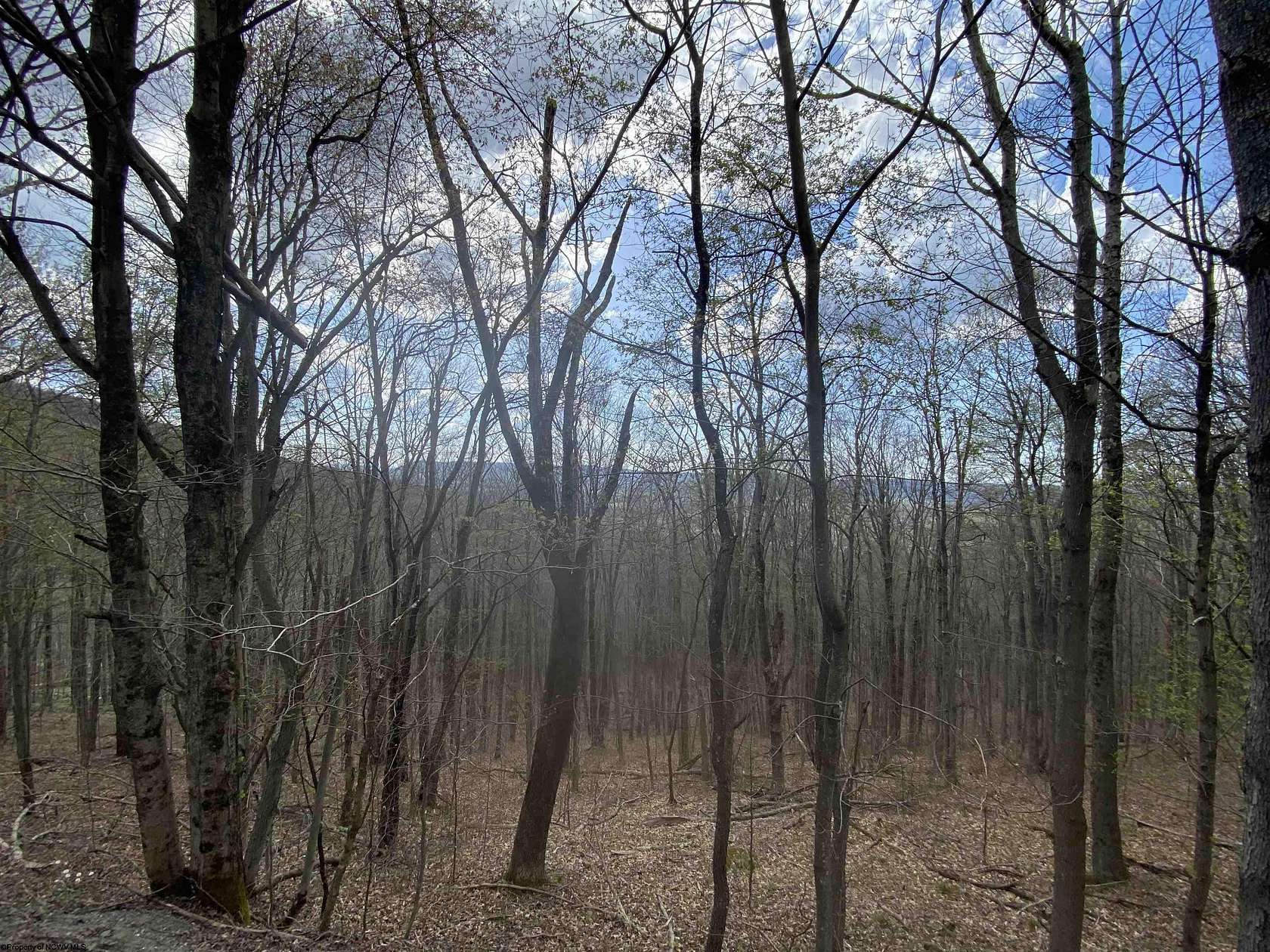 2.2 Acres of Residential Land for Sale in Davis, West Virginia