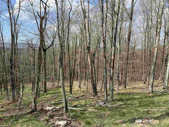 2.4 Acres of Residential Land for Sale in Davis, West Virginia