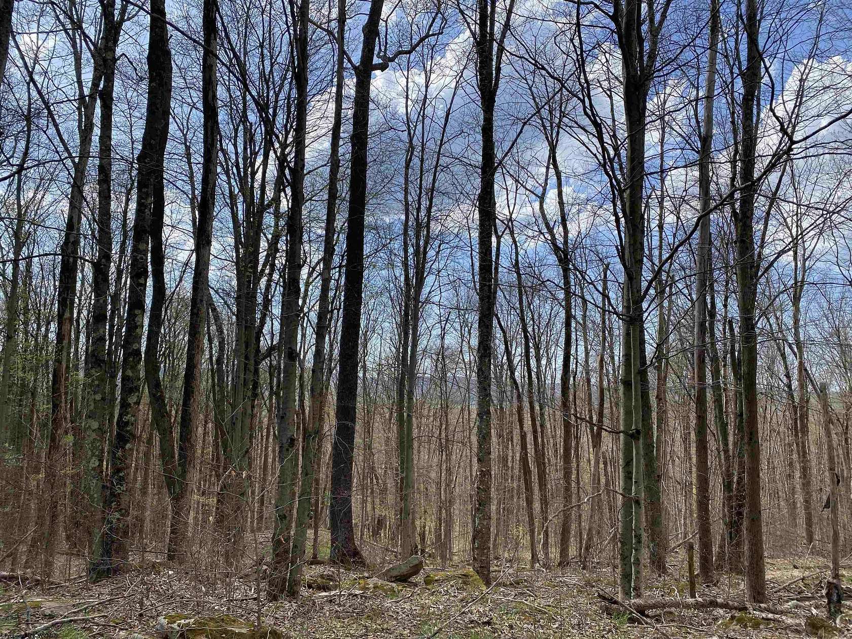 2.2 Acres of Residential Land for Sale in Davis, West Virginia