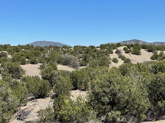 3 Acres of Land for Sale in Sandia Park, New Mexico