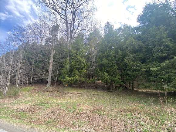 5.382 Acres of Residential Land for Sale in Hartwick, New York