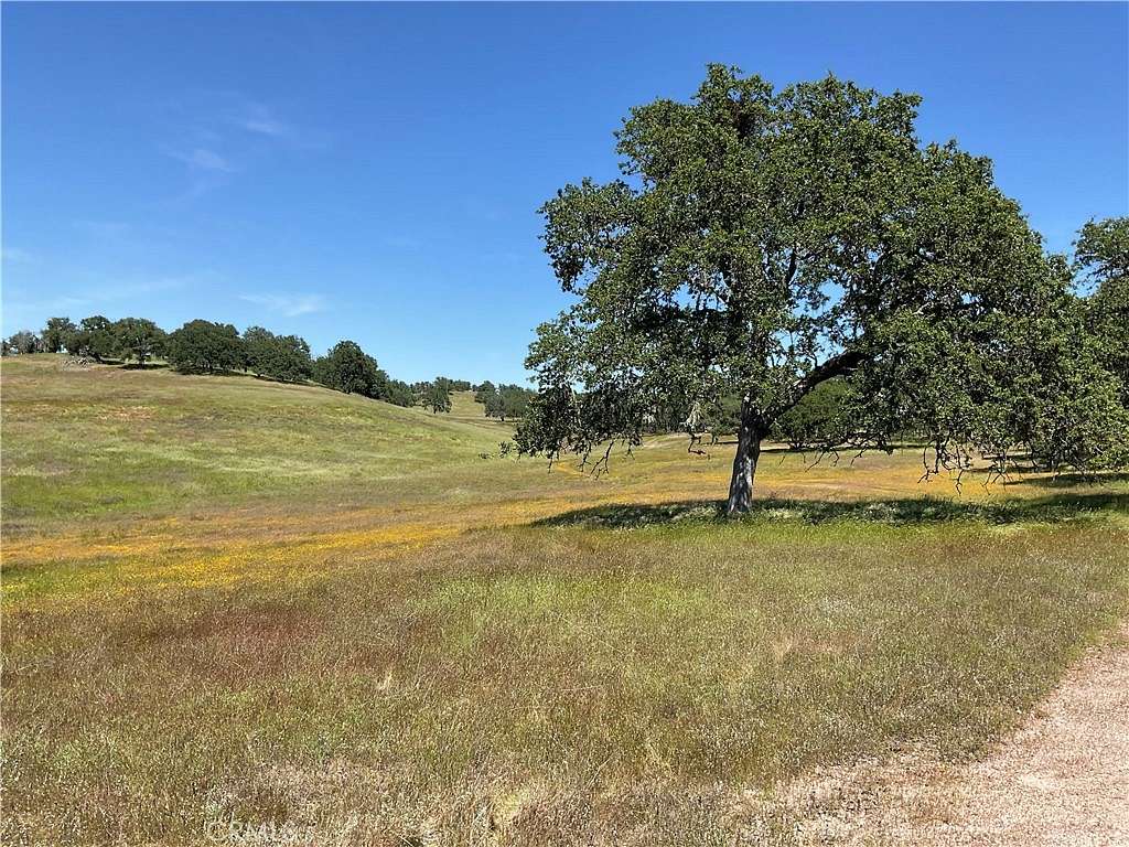 180 Acres of Recreational Land for Sale in Bradley, California