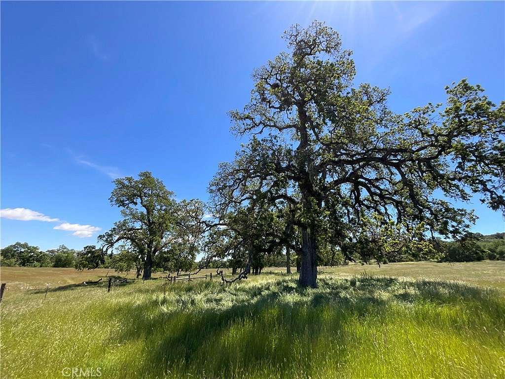 41.3 Acres of Recreational Land for Sale in Bradley, California