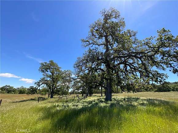 41.29 Acres of Land for Sale in Bradley, California