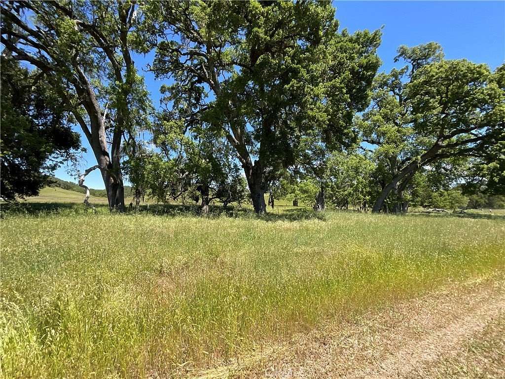 41.95 Acres of Land for Sale in Bradley, California