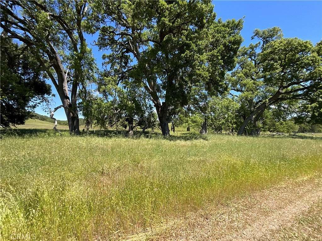 41.95 Acres of Land for Sale in Bradley, California