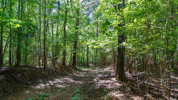 108 Acres of Recreational Land for Auction in Barnesville, Georgia