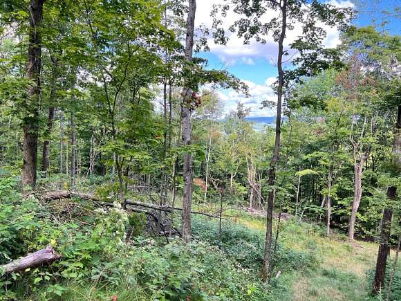 23.1 Acres of Recreational Land for Sale in Stamford, New York