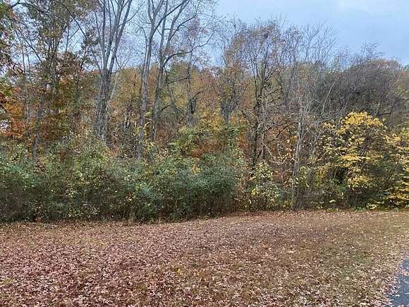 1.2 Acres of Residential Land for Sale in Spring City, Tennessee