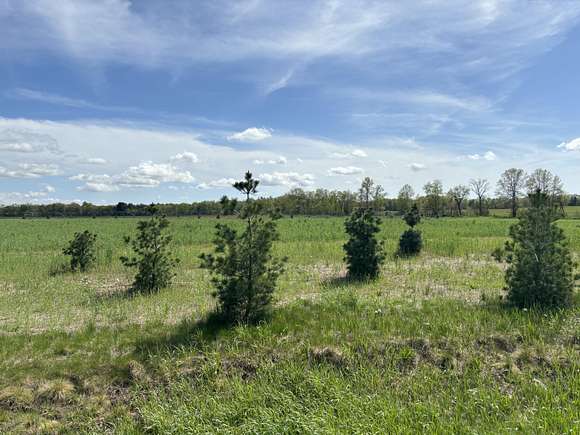 1.5 Acres of Land for Sale in Allendale, Michigan