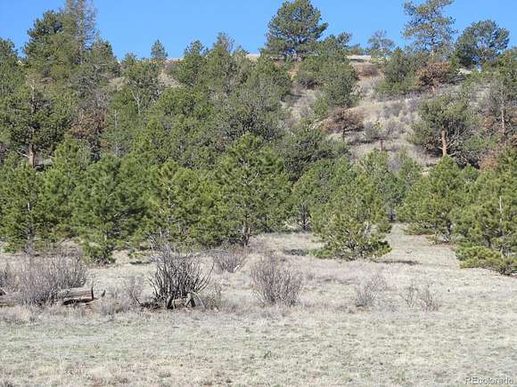 7.9 Acres of Residential Land for Sale in Hartsel, Colorado
