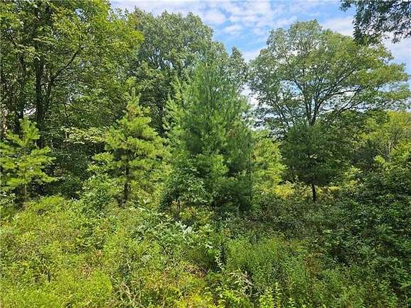 1.5 Acres of Residential Land for Sale in Penn Forest Township, Pennsylvania