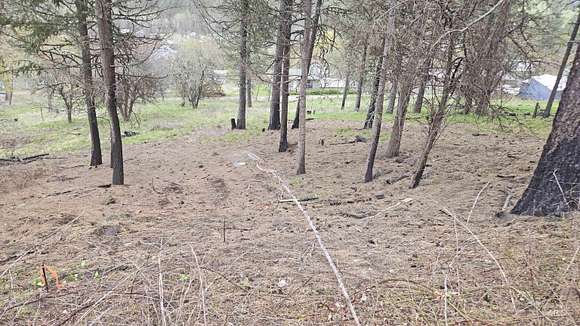 0.12 Acres of Land for Sale in Peck, Idaho