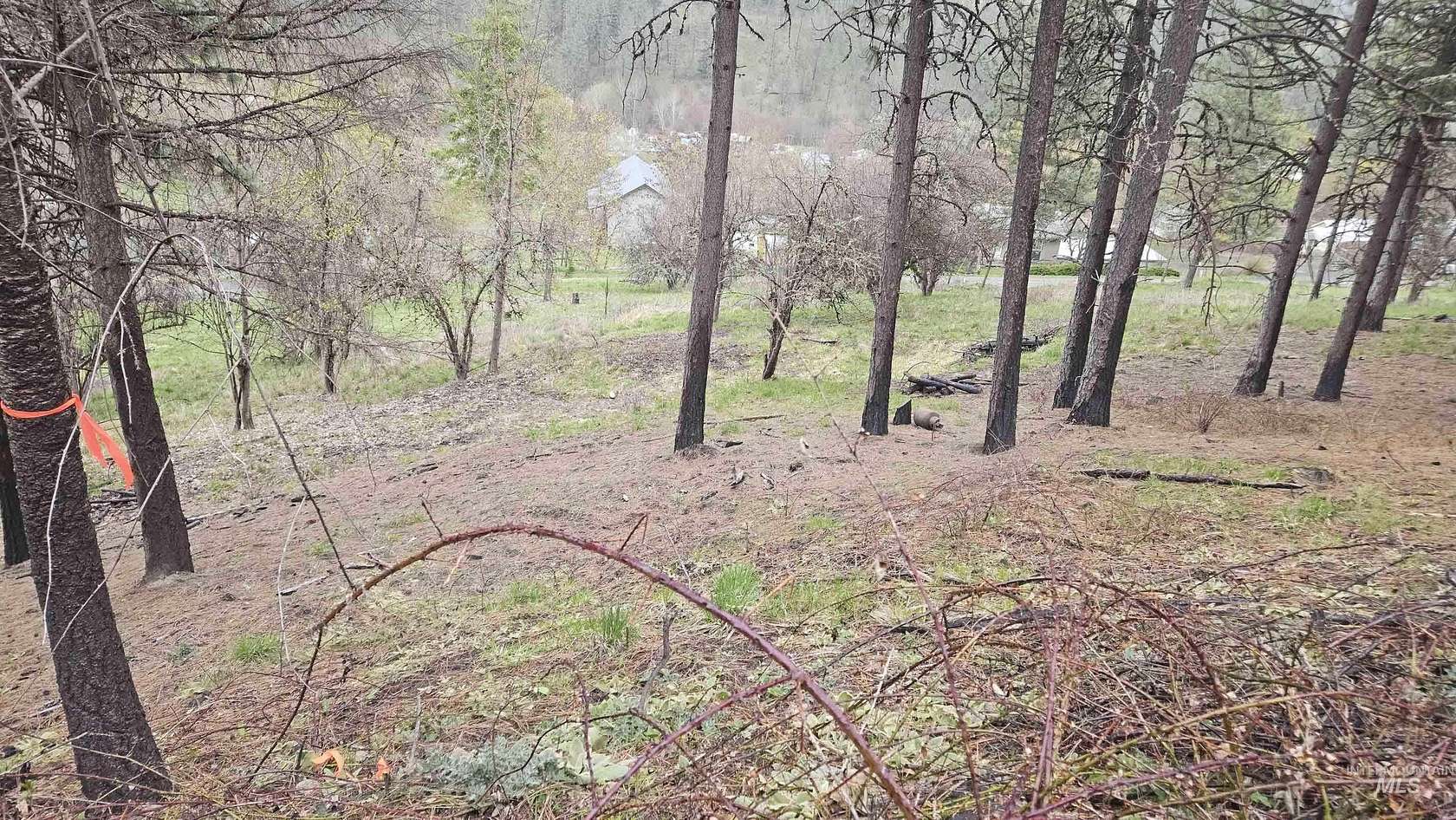 0.12 Acres of Land for Sale in Peck, Idaho