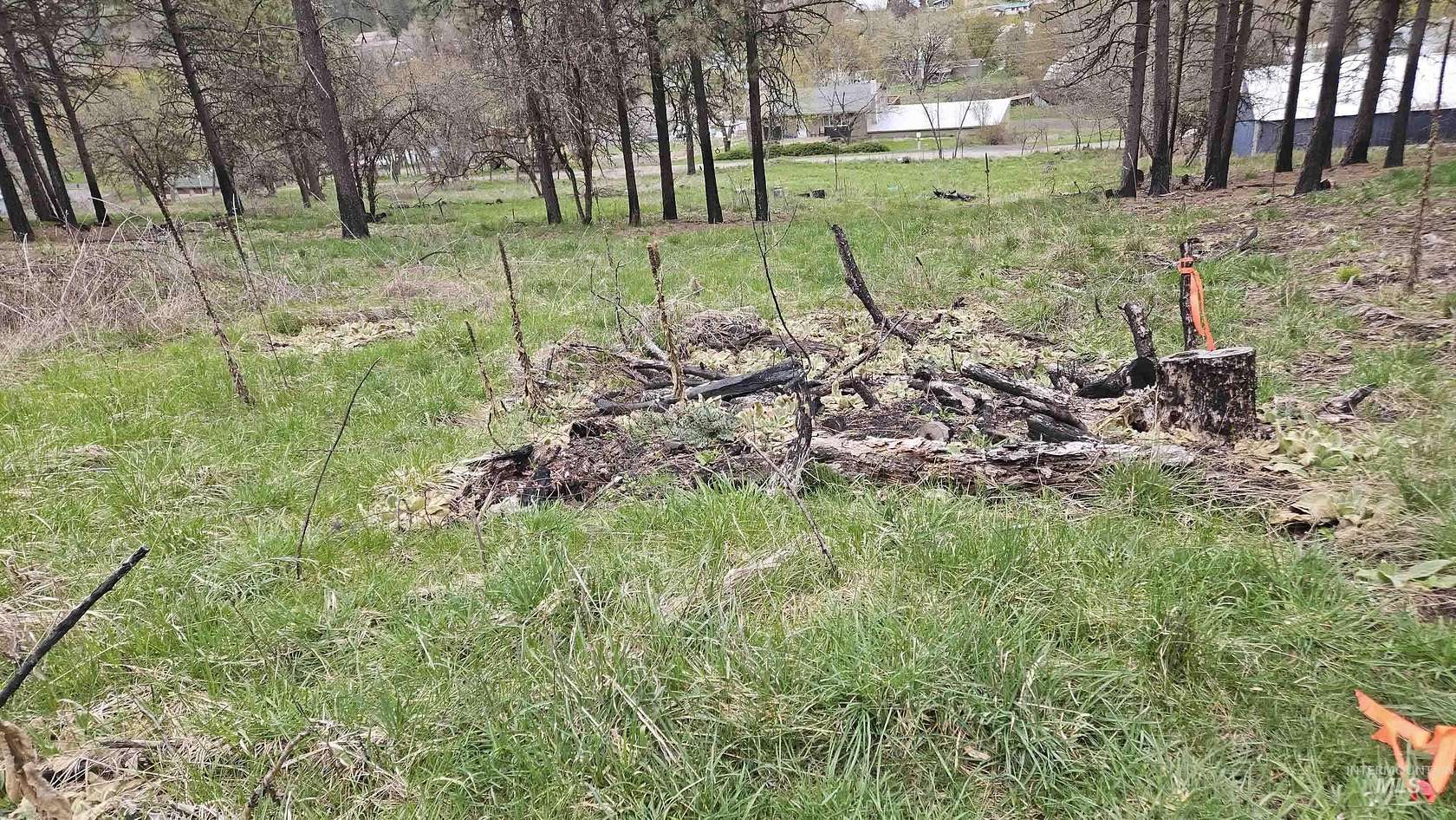 0.12 Acres of Land for Sale in Peck, Idaho