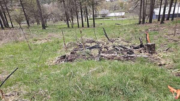 0.12 Acres of Land for Sale in Peck, Idaho