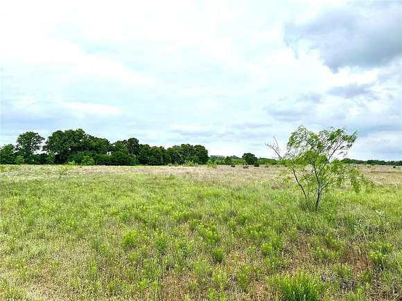 25 Acres of Agricultural Land for Sale in Stephenville, Texas