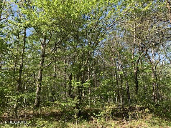 0.26 Acres of Land for Sale in Crossville, Tennessee