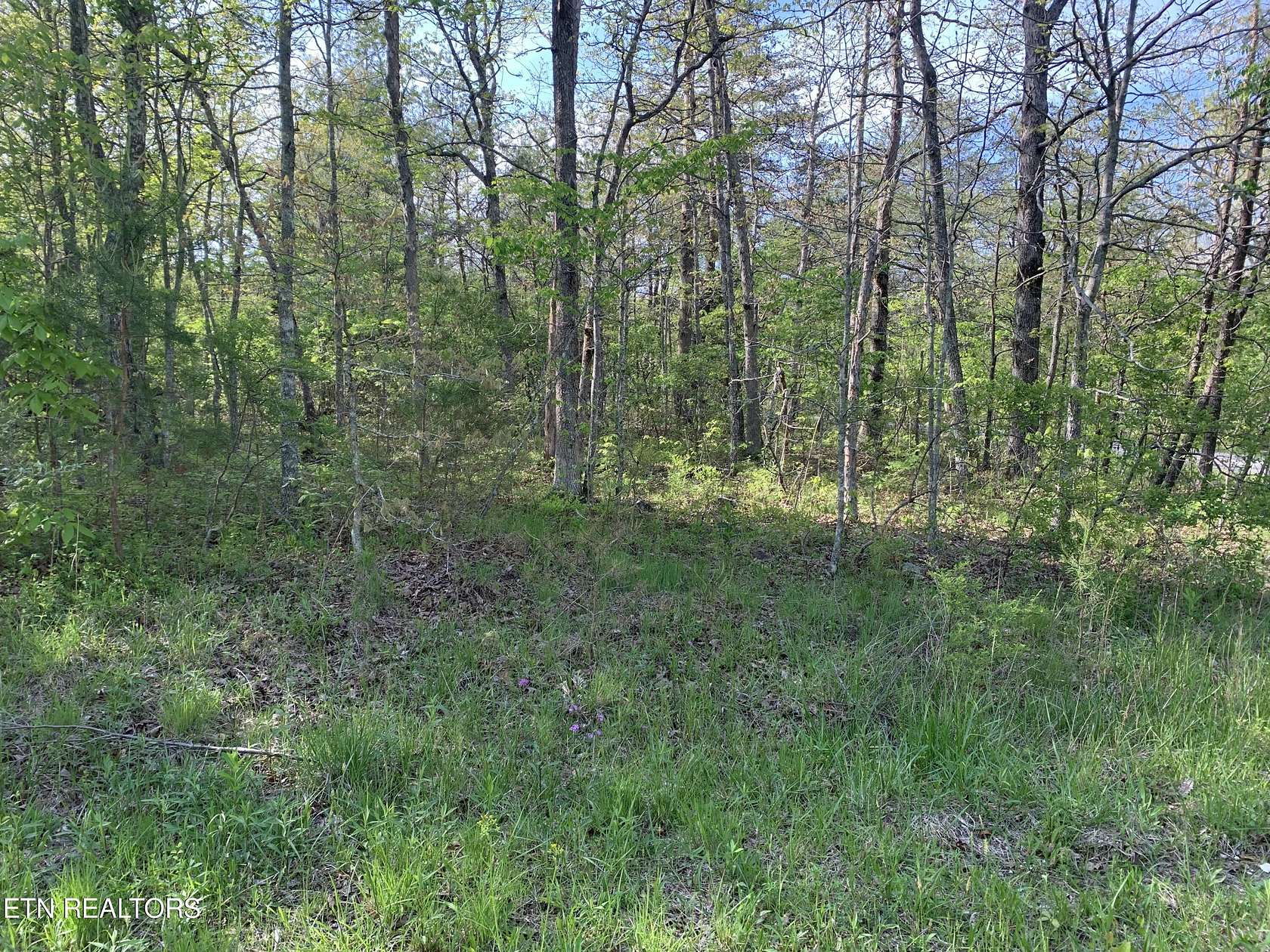 0.29 Acres of Land for Sale in Crossville, Tennessee