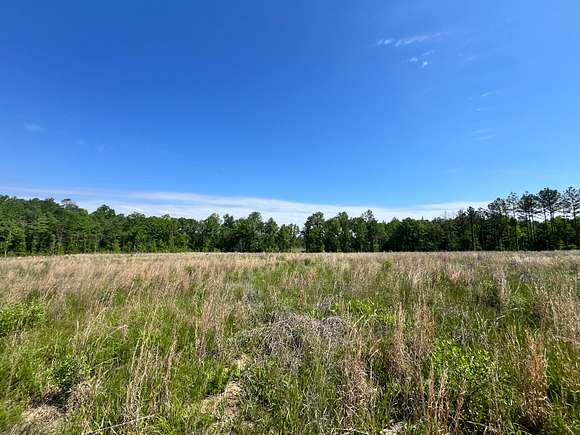 59.44 Acres of Recreational Land for Sale in Brandon, Mississippi