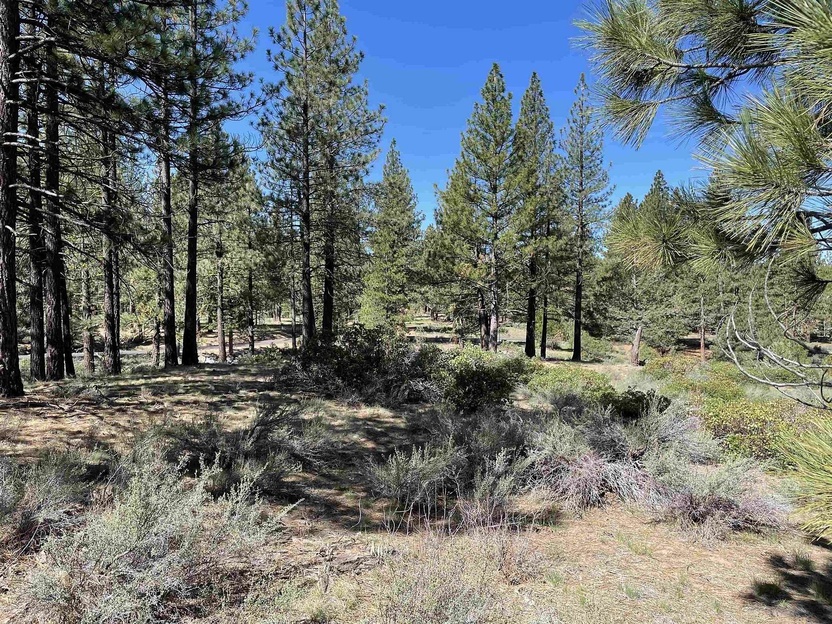 1.74 Acres of Residential Land for Sale in Portola, California