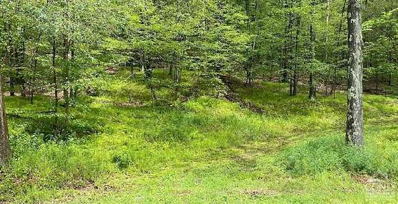 14.8 Acres of Recreational Land for Sale in Hillsdale, New York