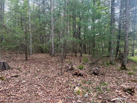 5.6 Acres of Residential Land for Sale in Lewisburg, West Virginia