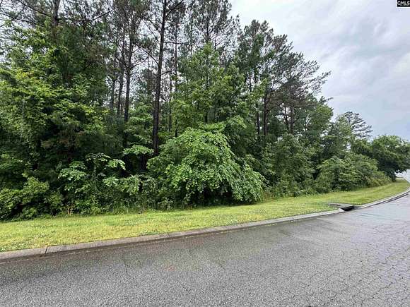 0.52 Acres of Residential Land for Sale in Chapin, South Carolina