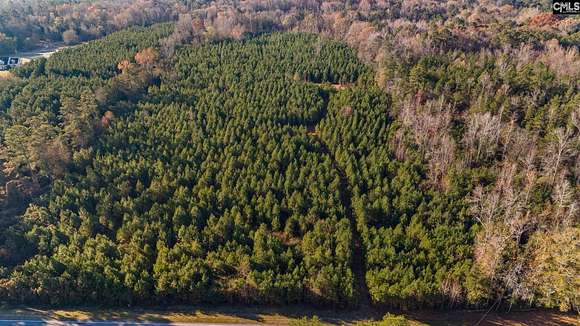 23.2 Acres of Land for Sale in Prosperity, South Carolina