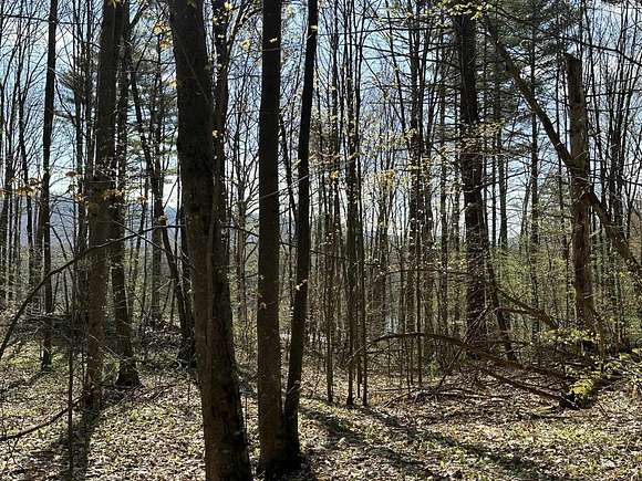 6.9 Acres of Land for Sale in Leicester, Vermont
