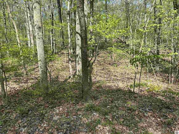 2.4 Acres of Residential Land for Sale in Benton, Kentucky