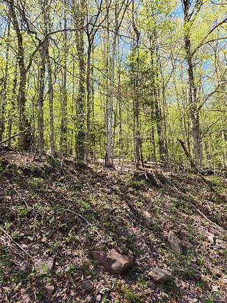 3 Acres of Land for Sale in Jewett, New York