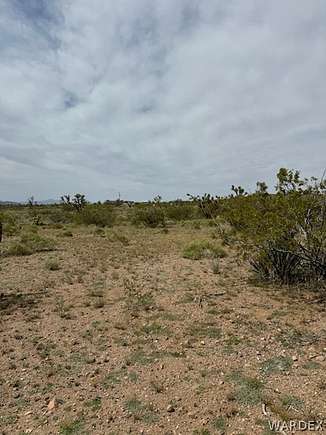 1 Acre of Residential Land for Sale in White Hills, Arizona