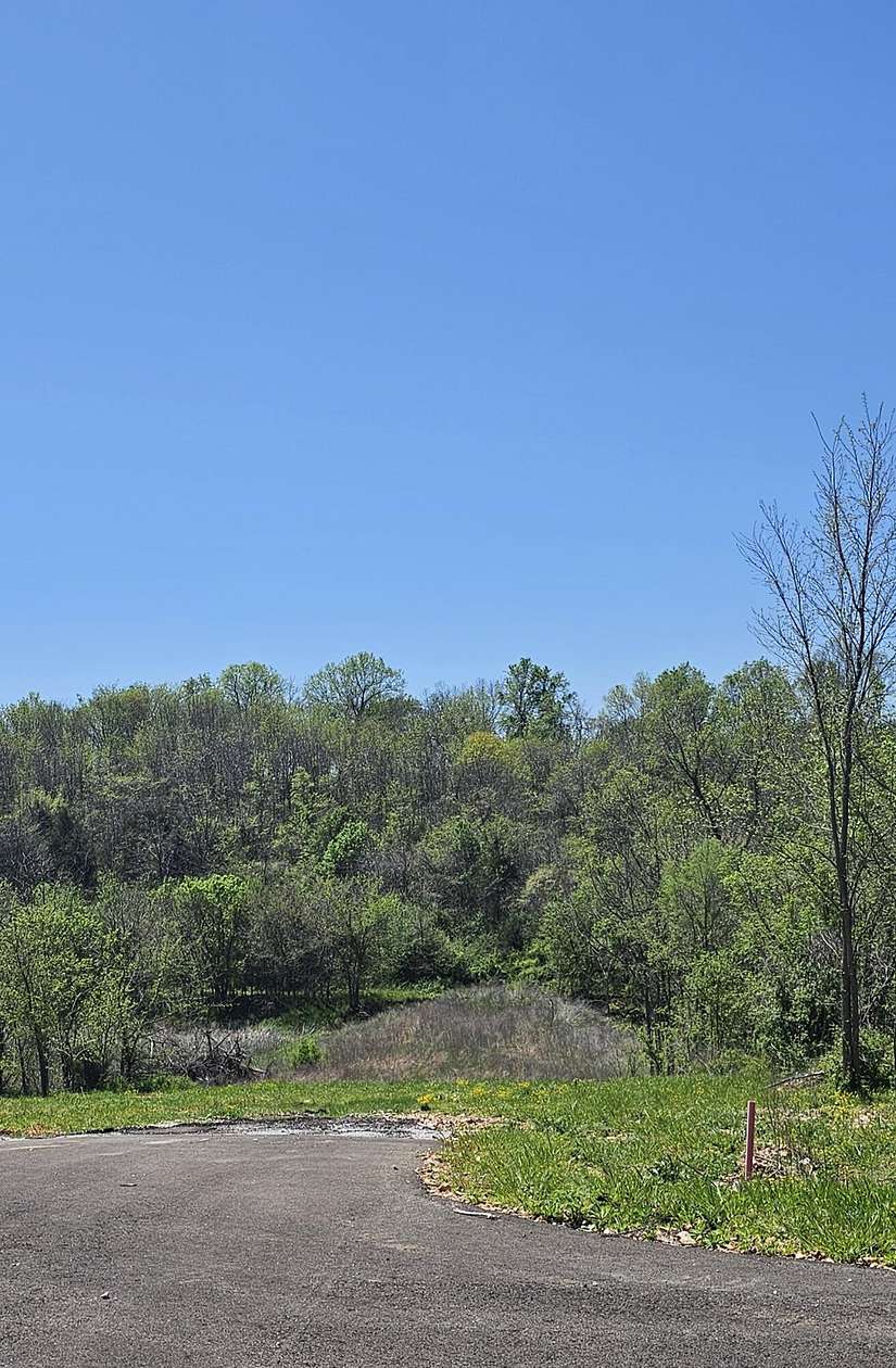 3 Acres of Land for Sale in Clever, Missouri