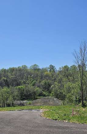3 Acres of Land for Sale in Clever, Missouri