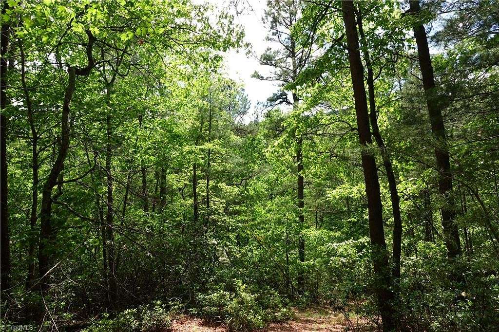 49.6 Acres of Recreational Land for Sale in Millers Creek, North Carolina