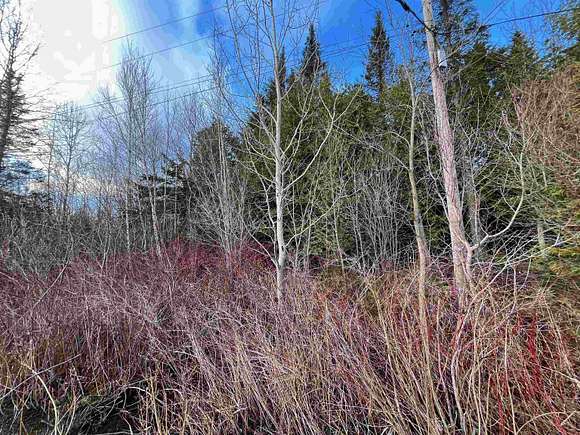17 Acres of Land for Sale in Brownington Town, Vermont
