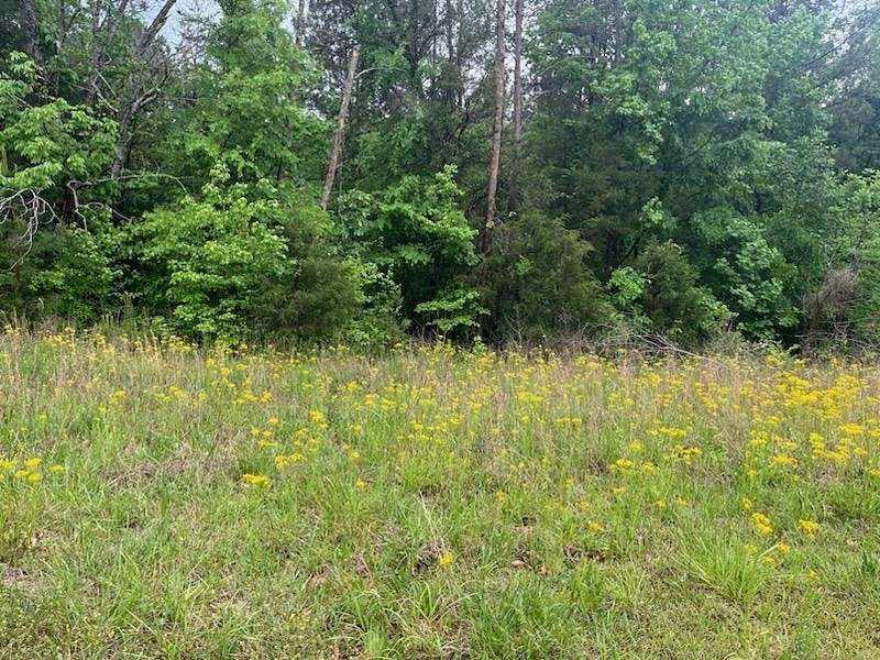 46.5 Acres of Land for Sale in Gaffney, South Carolina