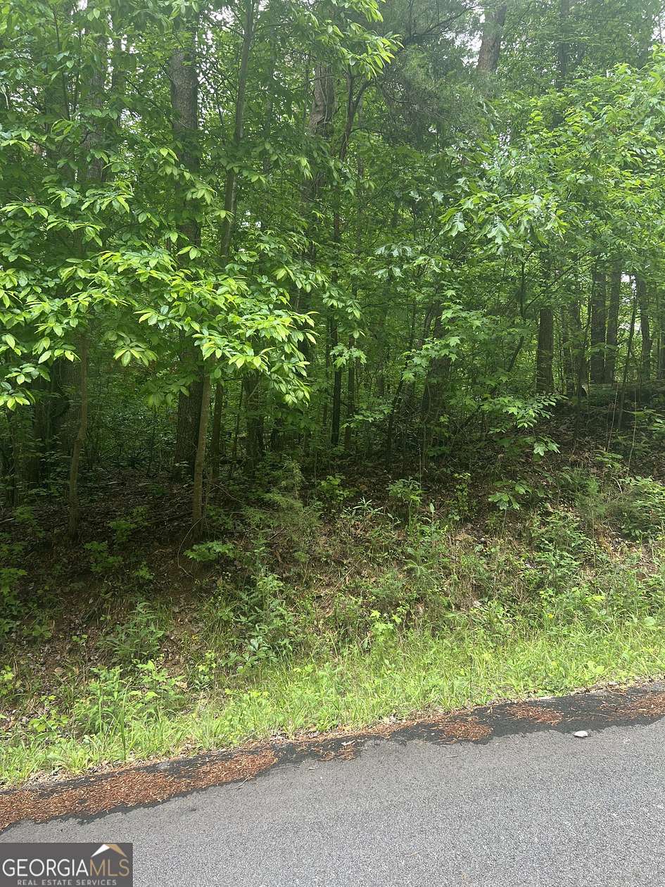 0.46 Acres of Residential Land for Sale in Lavonia, Georgia