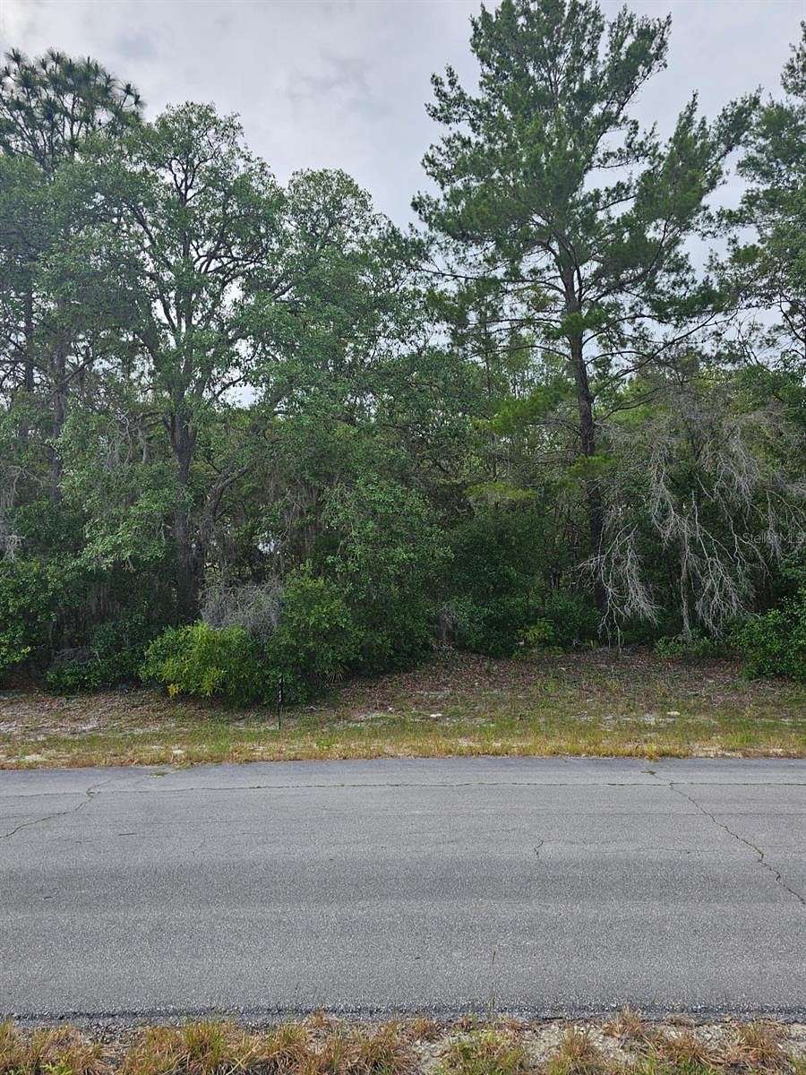 0.33 Acres of Residential Land for Sale in Dunnellon, Florida