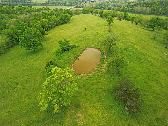 128 Acres of Land for Sale in Gainesville, Missouri