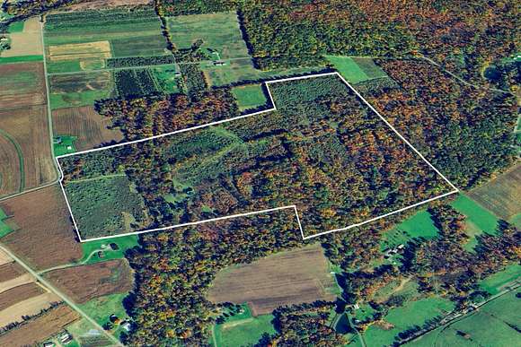 134 Acres of Land for Auction in Catawissa, Pennsylvania