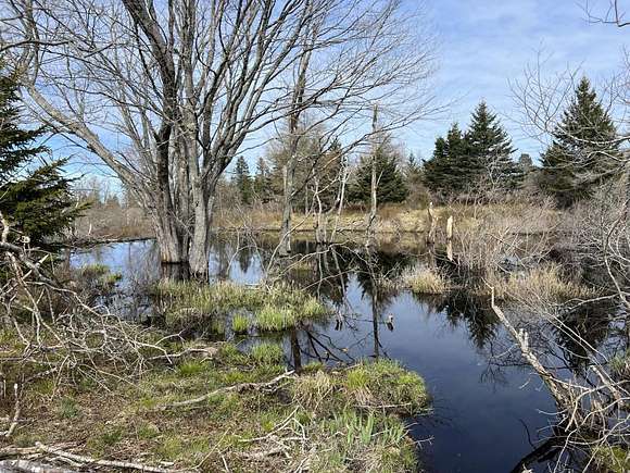 3.1 Acres of Residential Land for Sale in Swans Island, Maine
