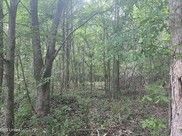 117 Acres of Land for Sale in Florence, Mississippi