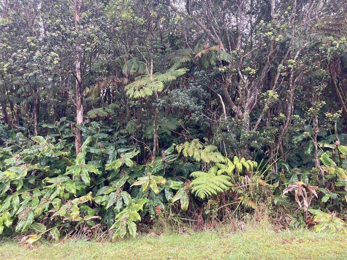 0.21 Acres of Residential Land for Sale in Volcano, Hawaii
