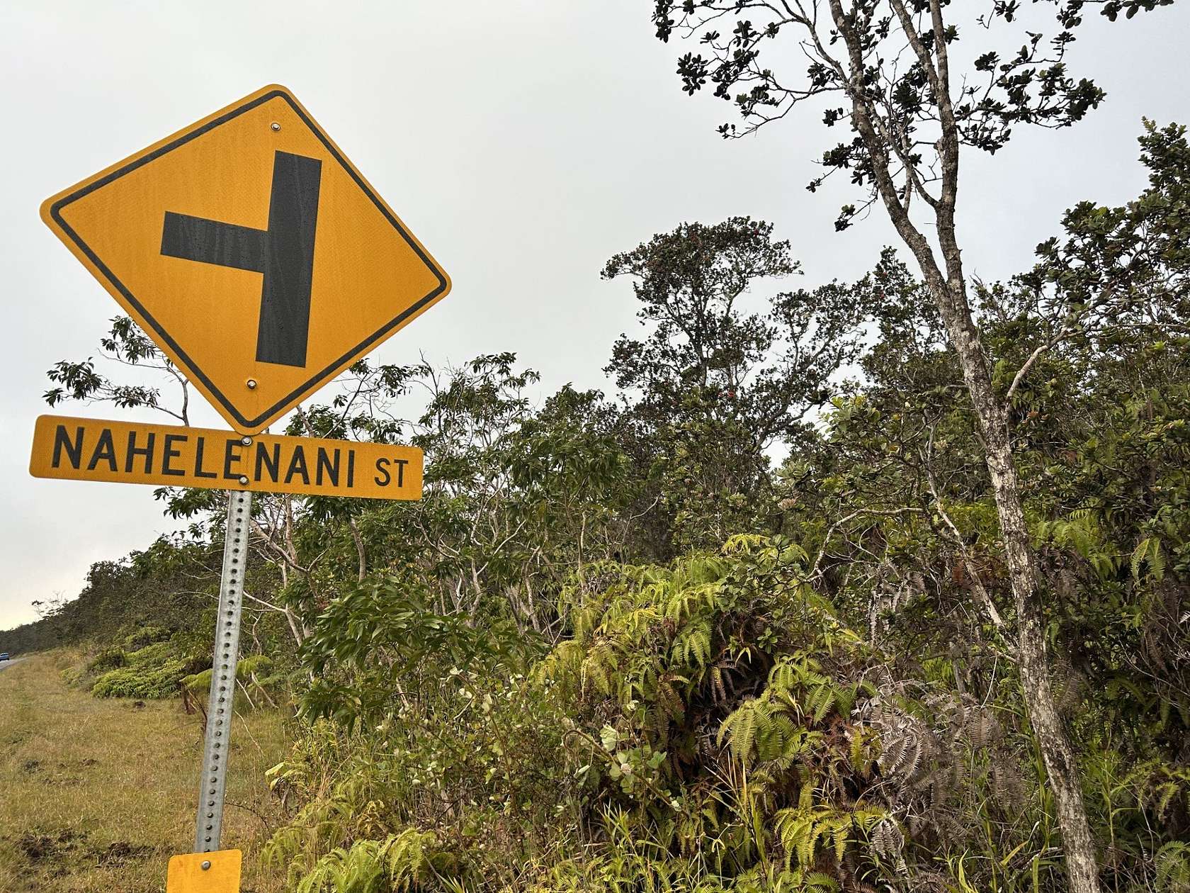 0.21 Acres of Residential Land for Sale in Volcano, Hawaii
