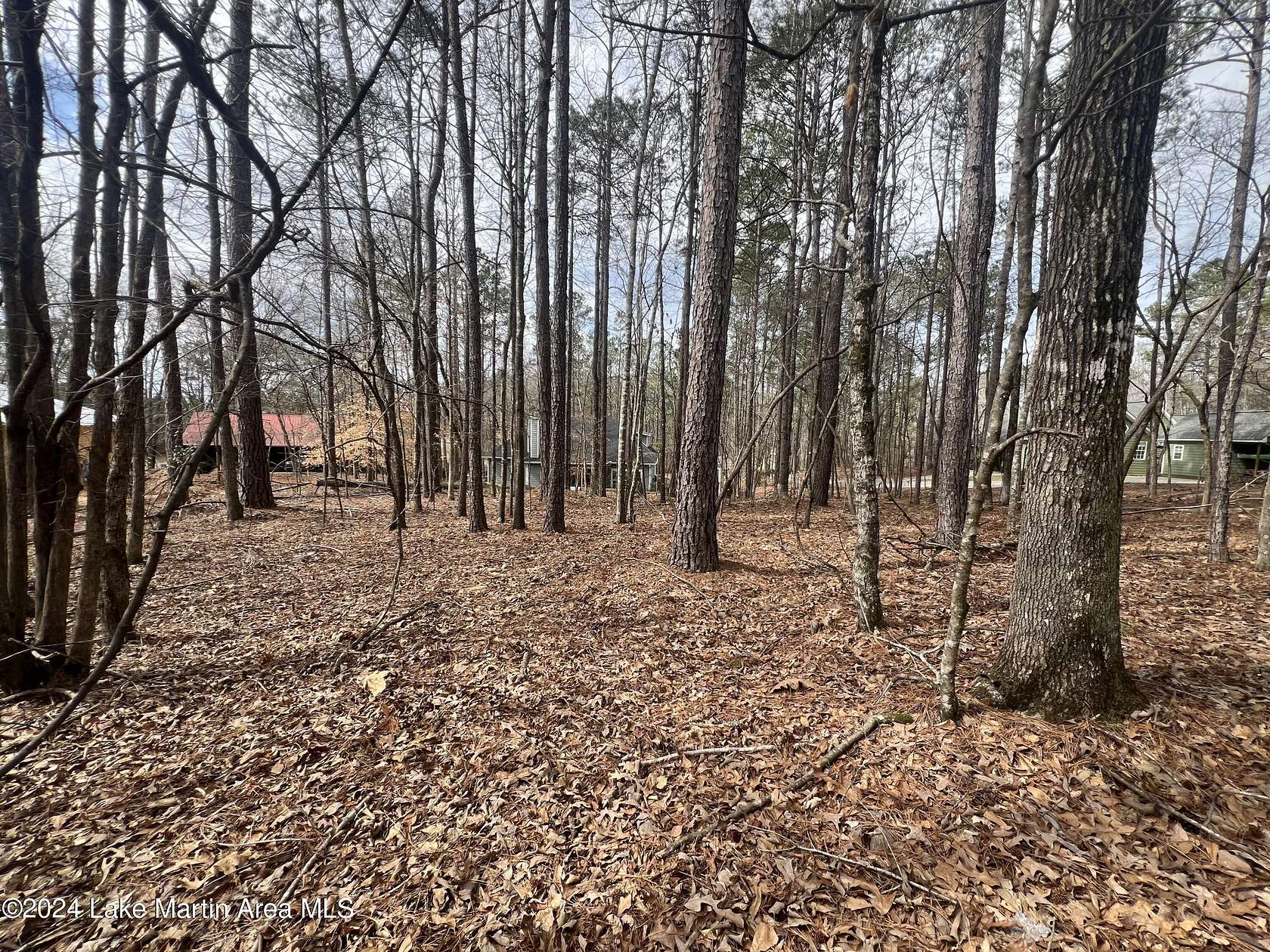 0.34 Acres of Residential Land for Sale in Dadeville, Alabama