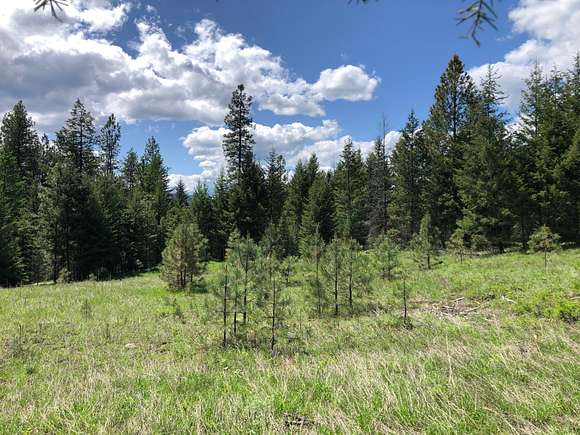 40.2 Acres of Recreational Land for Sale in Libby, Montana