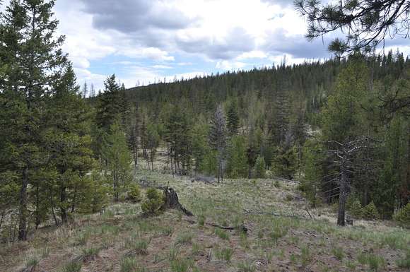 160 Acres of Recreational Land for Sale in Marion, Montana