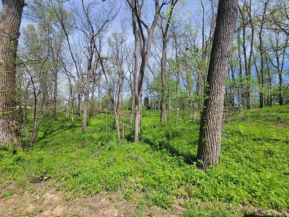 0.11 Acres of Residential Land for Sale in Bernard, Iowa